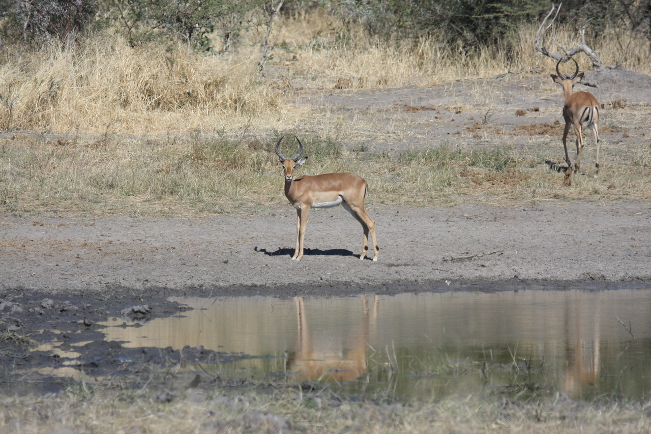 [16938] 2016_06_27_08_07_36_Africa_Canon_EOS_40D_IMG__02342.jpg