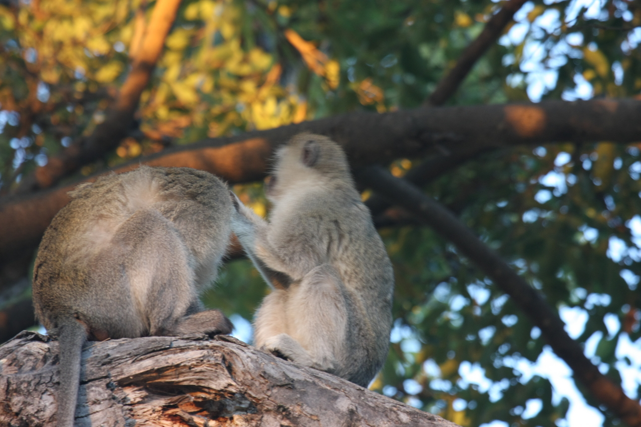 [17564] 2016_06_28_01_10_36_Africa_Canon_EOS_40D_IMG__02578.jpg