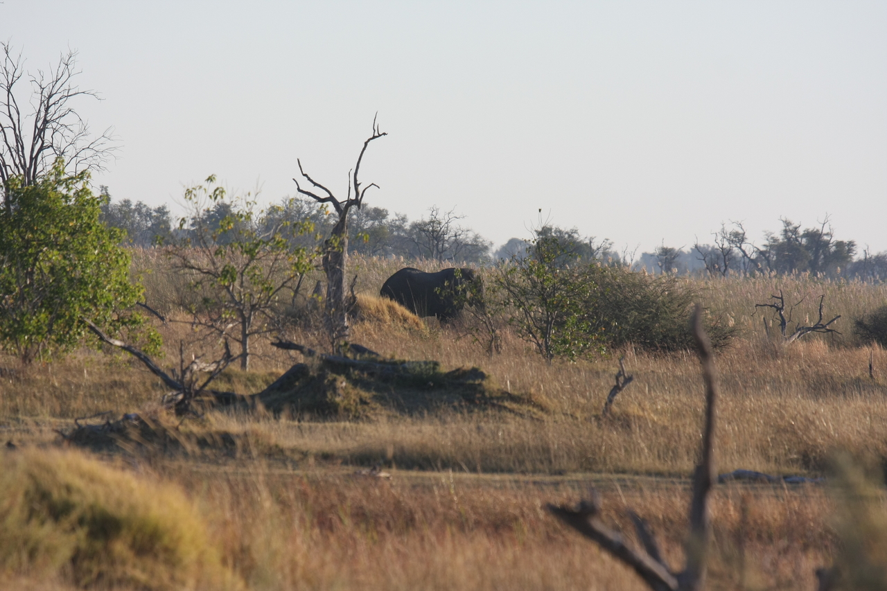 [17709] 2016_06_28_01_39_47_Africa_Canon_EOS_40D_IMG__10480.jpg