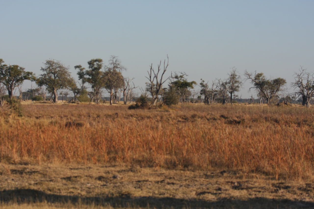 [17747] 2016_06_28_01_46_42_Africa_Canon_EOS_40D_IMG__10569.jpg