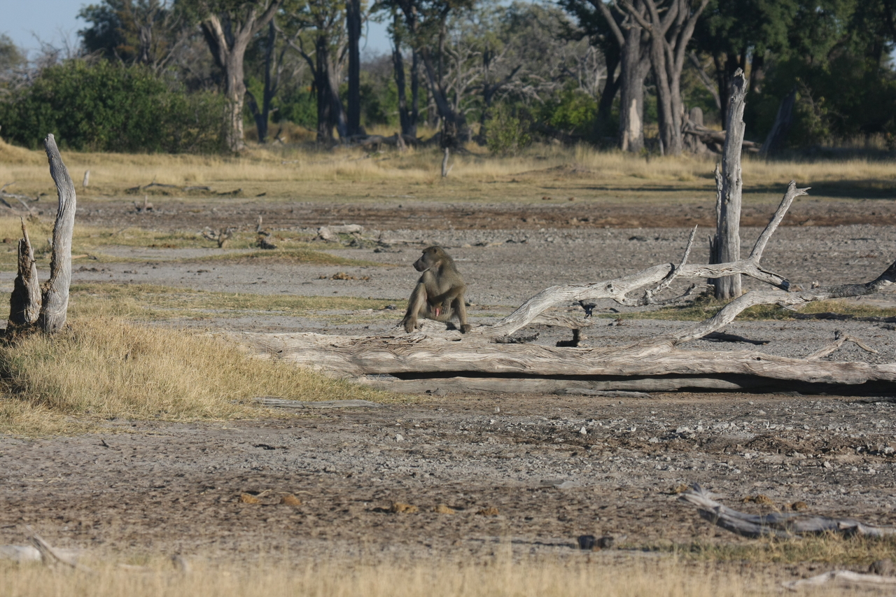 [17762] 2016_06_28_01_59_00_Africa_Canon_EOS_40D_IMG__10625.jpg