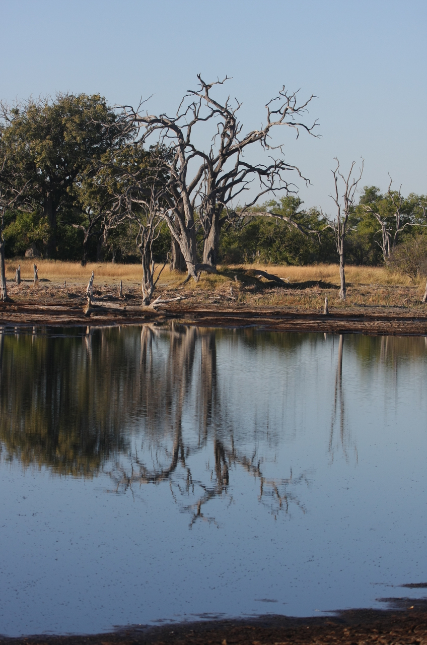 [17791] 2016_06_28_02_04_56_Africa_Canon_EOS_40D_IMG__00848.jpg