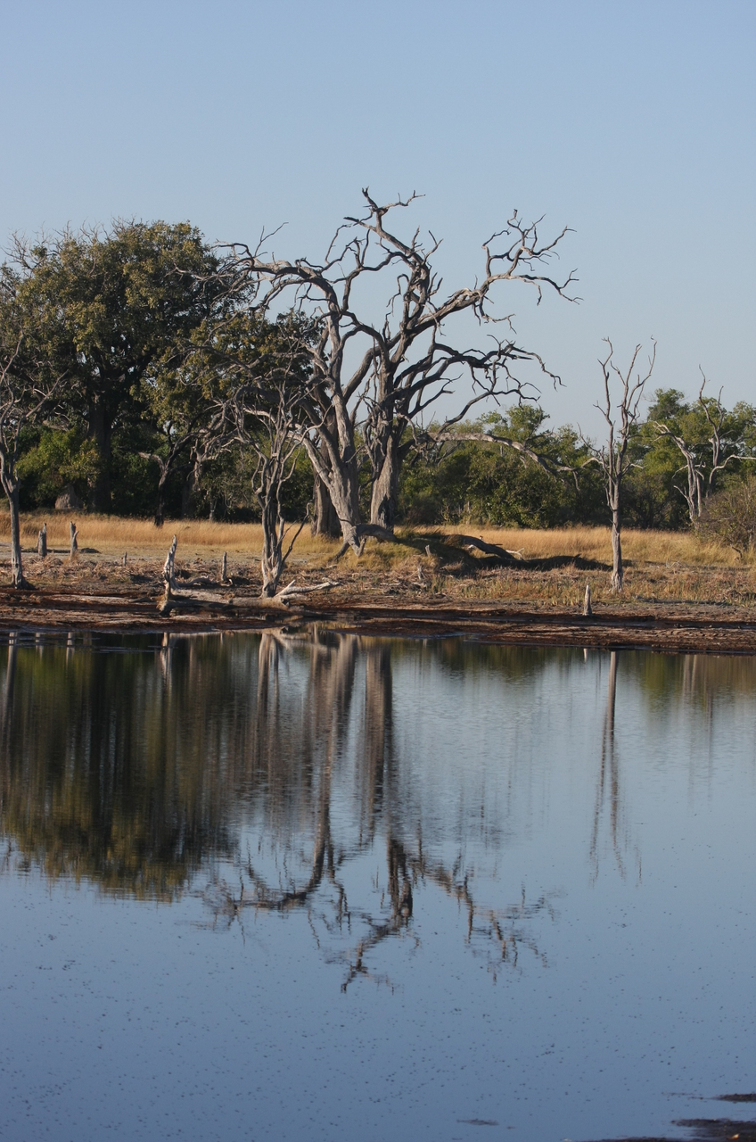 [17800] 2016_06_28_02_05_00_Africa_Canon_EOS_40D_IMG__10683.jpg