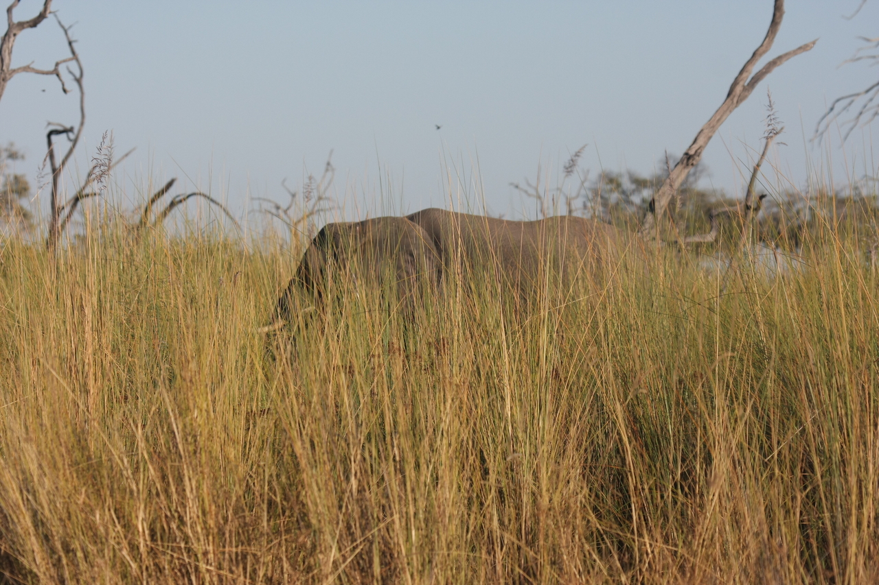 [17807] 2016_06_28_02_08_50_Africa_Canon_EOS_40D_IMG__03239.jpg