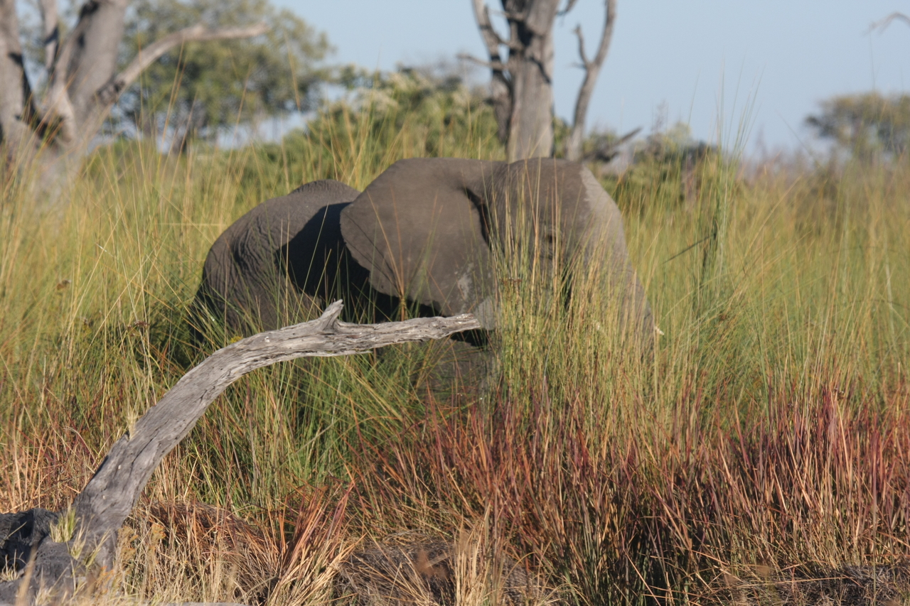 [17855] 2016_06_28_02_13_07_Africa_Canon_EOS_40D_IMG__09851.jpg