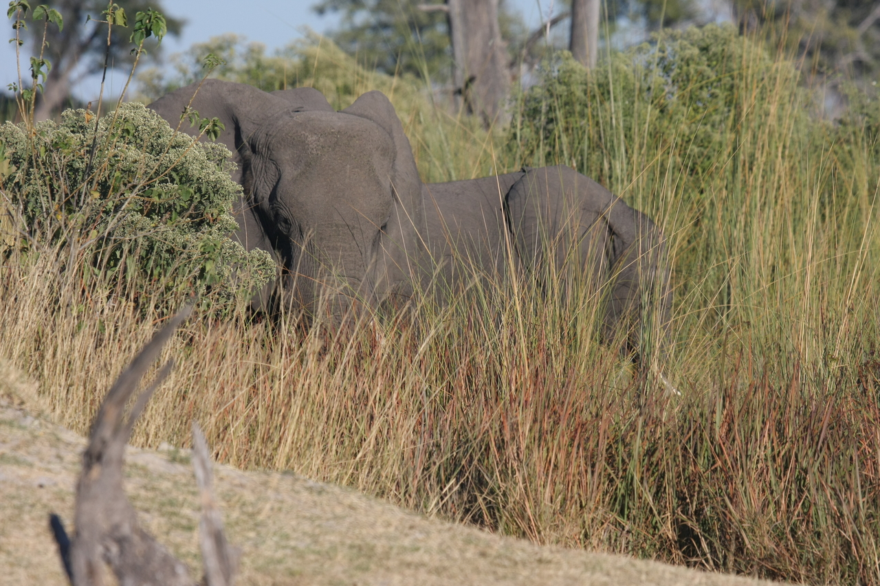 [17868] 2016_06_28_02_14_03_Africa_Canon_EOS_40D_IMG__00022.jpg