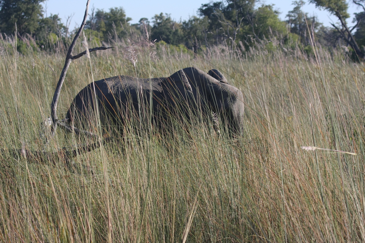 [17928] 2016_06_28_02_18_28_Africa_Canon_EOS_40D_IMG__00044.jpg