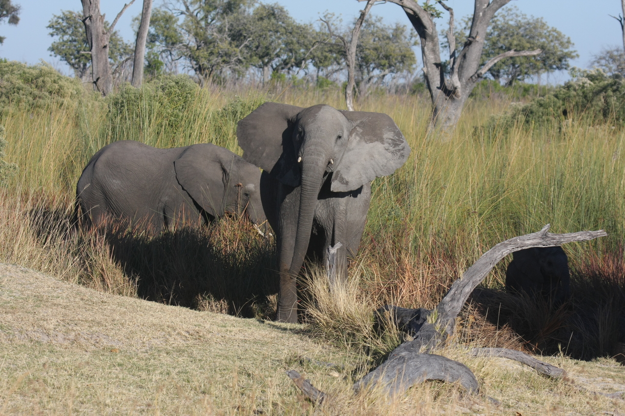 [18006] 2016_06_28_02_19_32_Africa_Canon_EOS_40D_IMG__00073.jpg