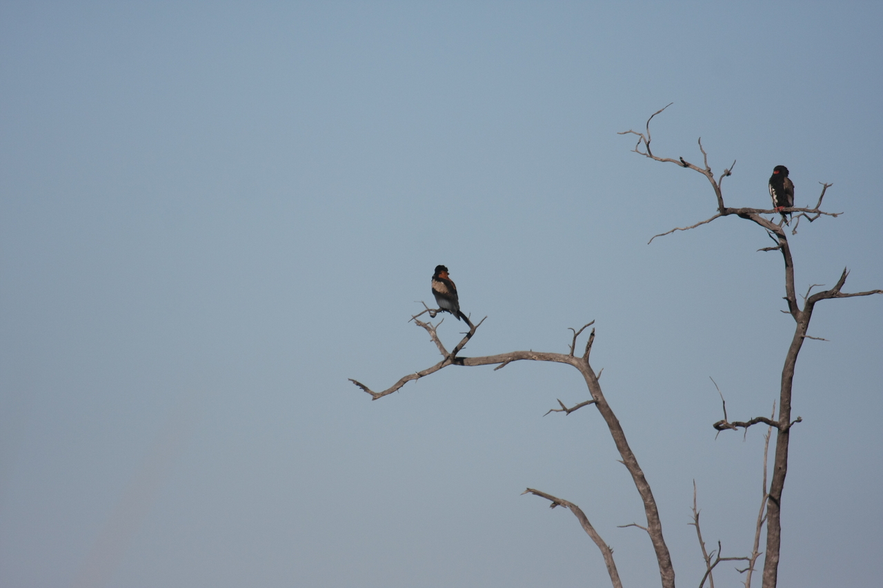 [18110] 2016_06_28_02_26_18_Africa_Canon_EOS_40D_IMG__00112.jpg