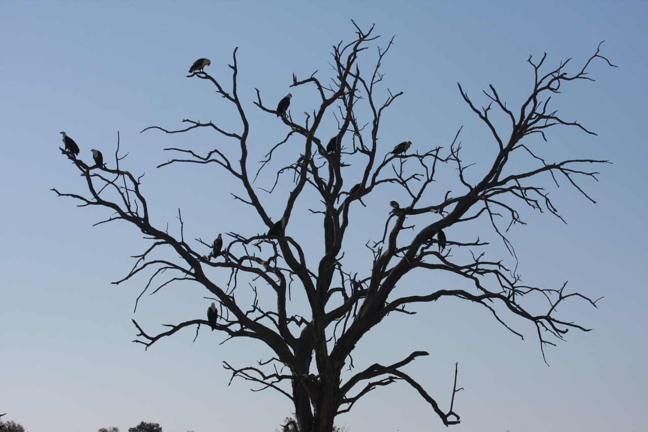 [18118] 2016_06_28_02_33_19_Africa_Canon_EOS_40D_IMG__02502.jpg
