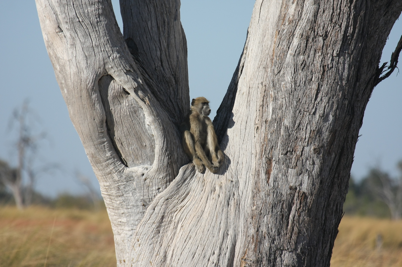 [18207] 2016_06_28_02_44_44_Africa_Canon_EOS_40D_IMG__00148.jpg