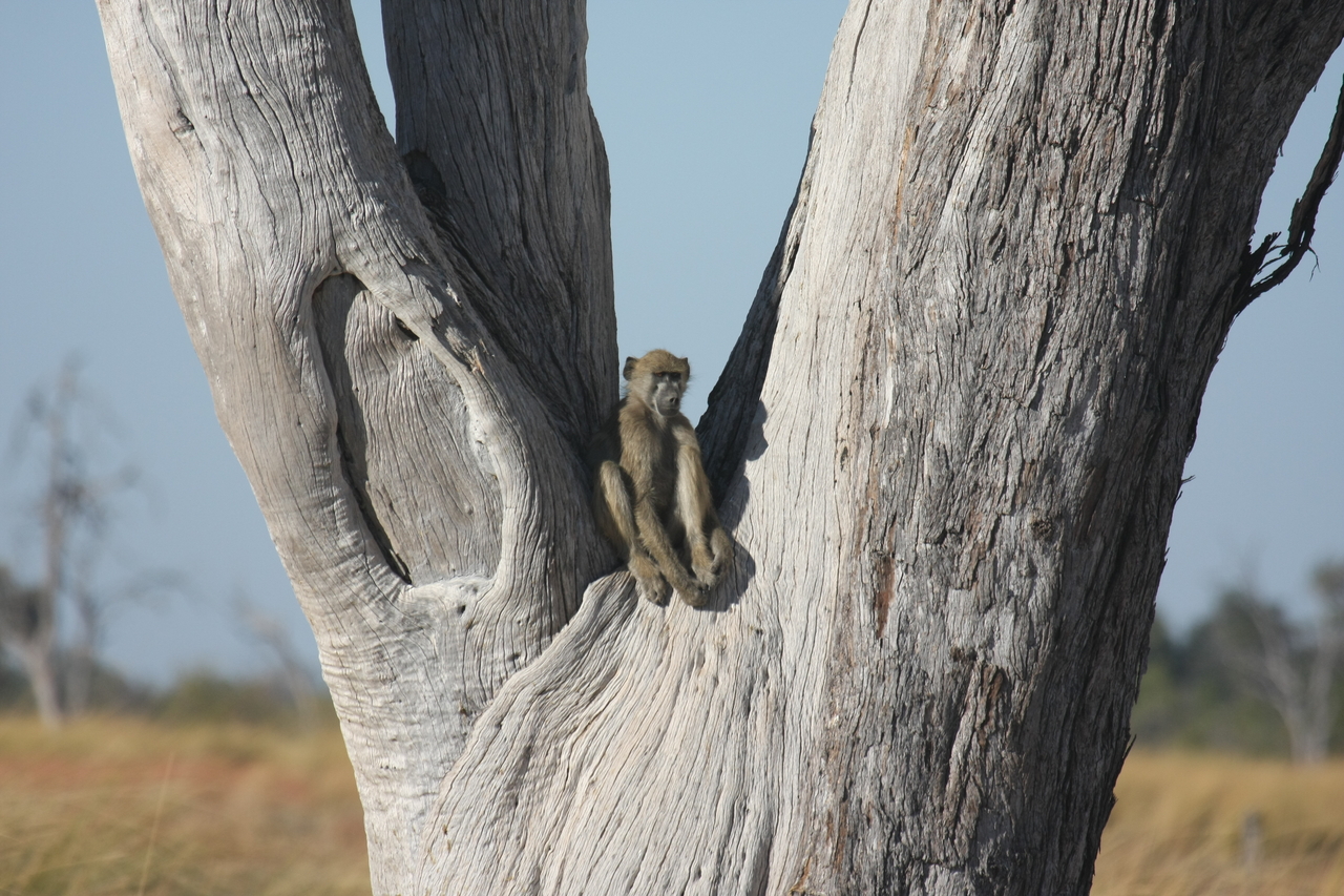 [18217] 2016_06_28_02_44_48_Africa_Canon_EOS_40D_IMG__02538.jpg
