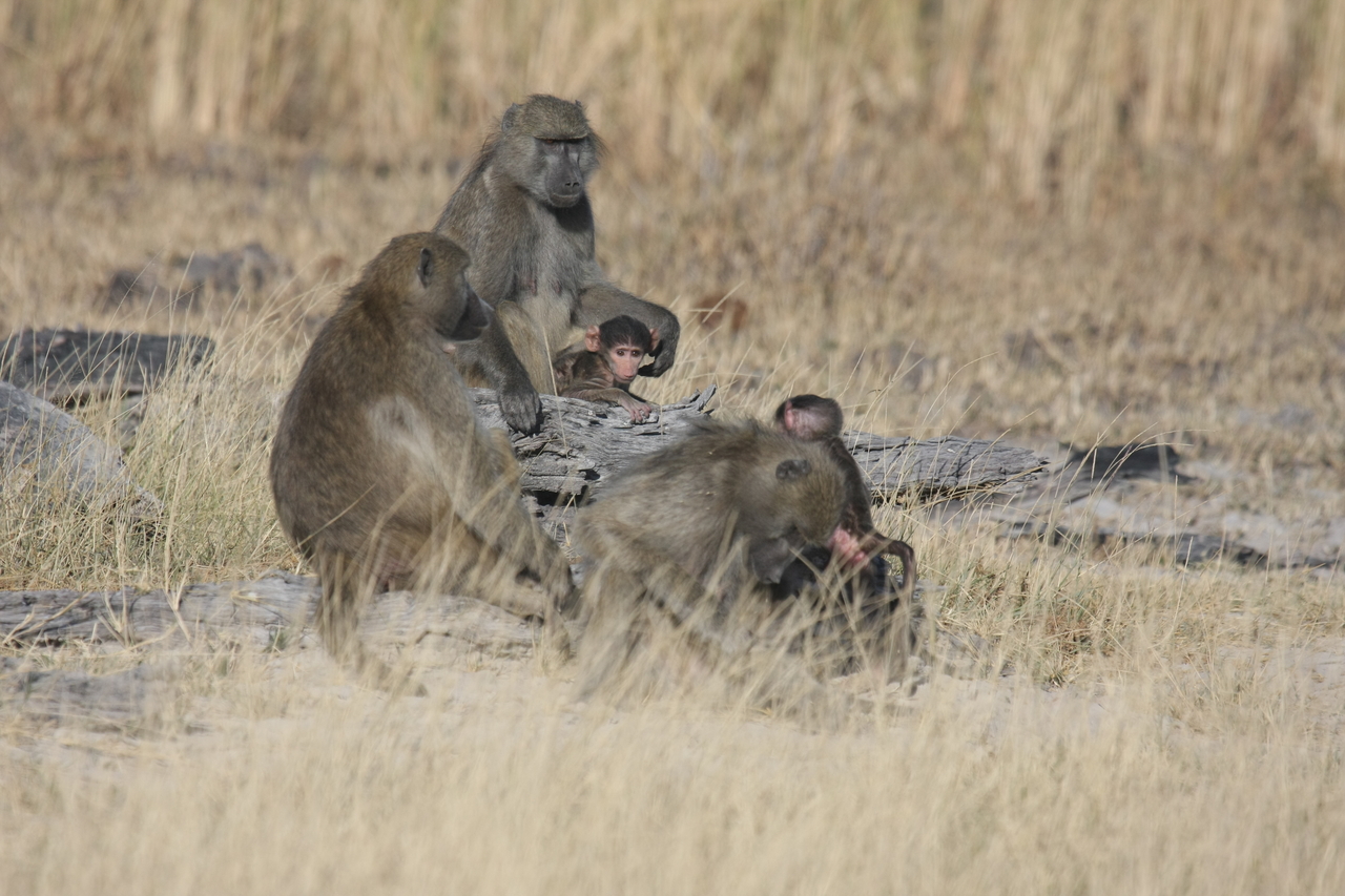 [18318] 2016_06_28_02_48_10_Africa_Canon_EOS_40D_IMG__02574.jpg