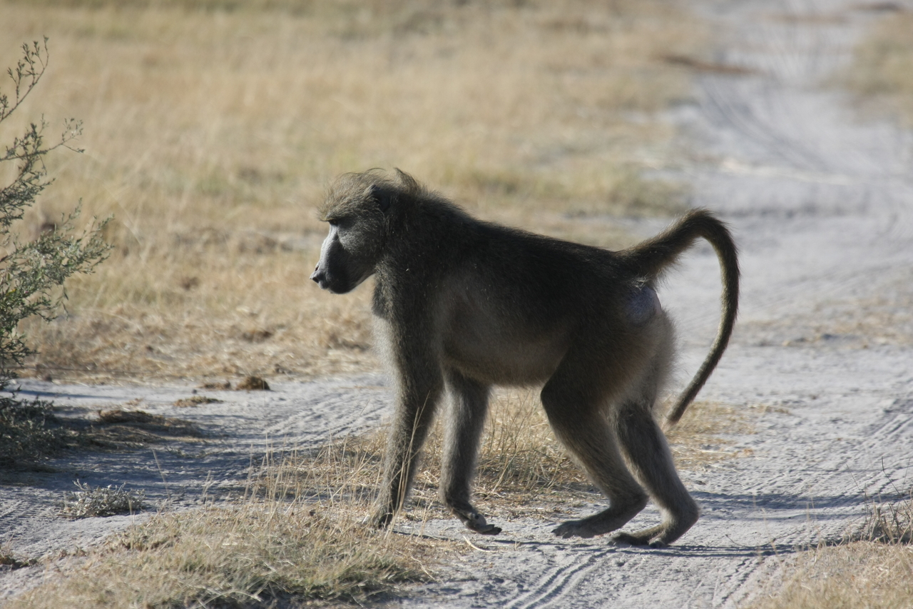 [18443] 2016_06_28_02_51_45_Africa_Canon_EOS_40D_IMG__10068.jpg