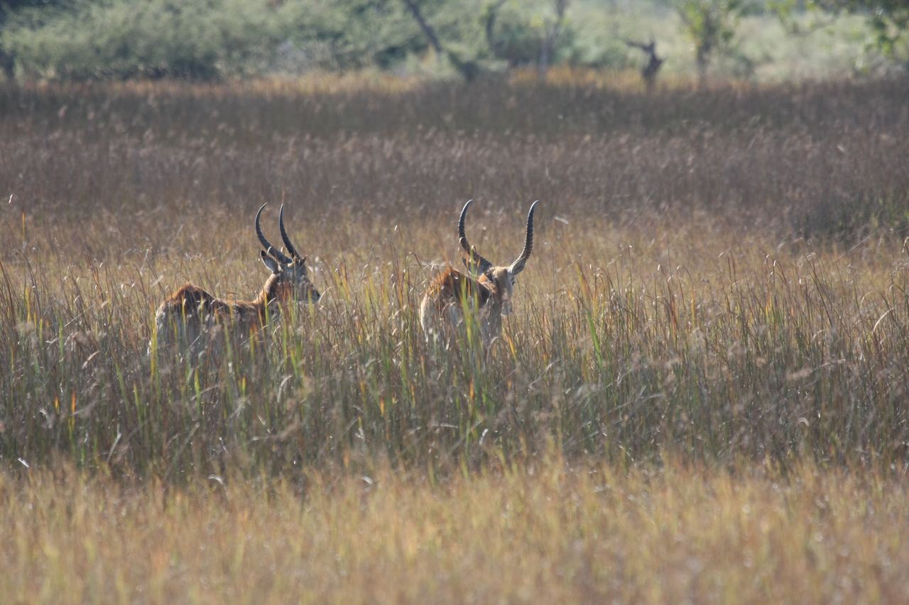 [18555] 2016_06_28_03_54_40_Africa_Canon_EOS_40D_IMG__02662.jpg