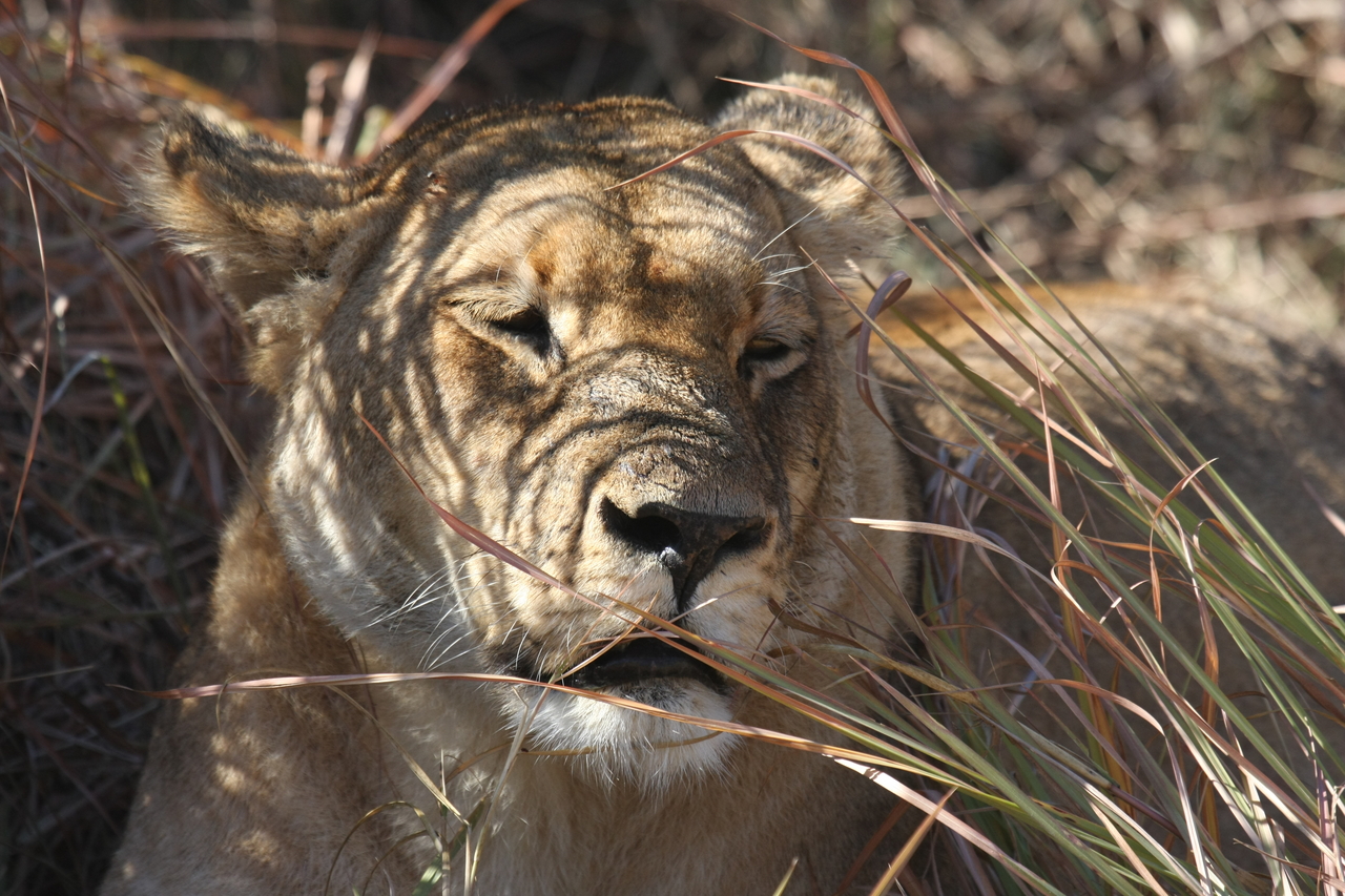[18603] 2016_06_28_04_03_09_Africa_Canon_EOS_40D_IMG__00294.jpg
