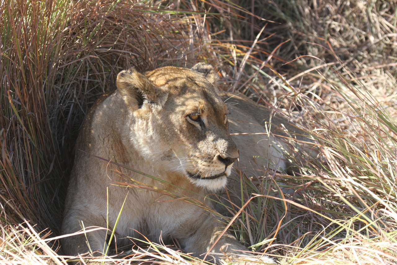 [18609] 2016_06_28_04_03_27_Africa_Canon_EOS_40D_IMG__00296.jpg