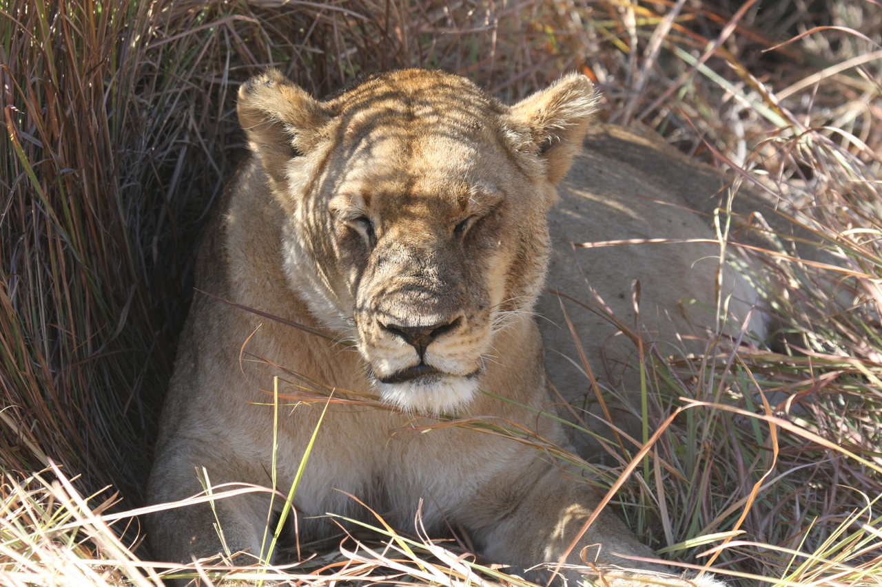 [18626] 2016_06_28_04_03_36_Africa_Canon_EOS_40D_IMG__10135.jpg