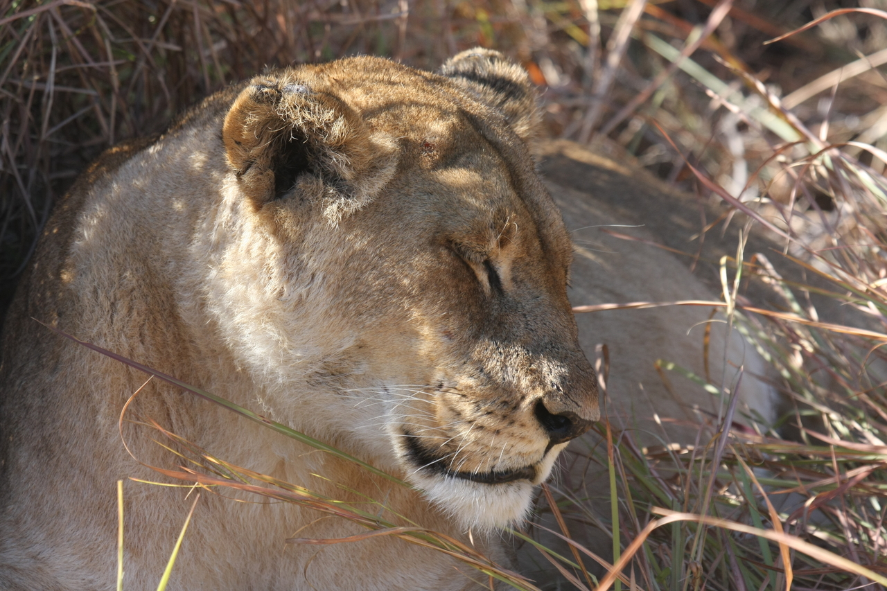 [18627] 2016_06_28_04_03_47_Africa_Canon_EOS_40D_IMG__00303.jpg