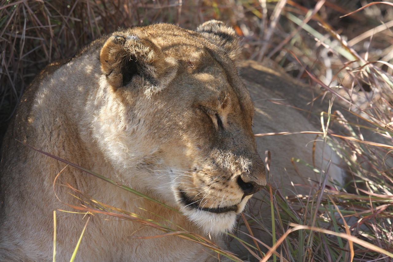 [18635] 2016_06_28_04_03_47_Africa_Canon_EOS_40D_IMG__10139.jpg