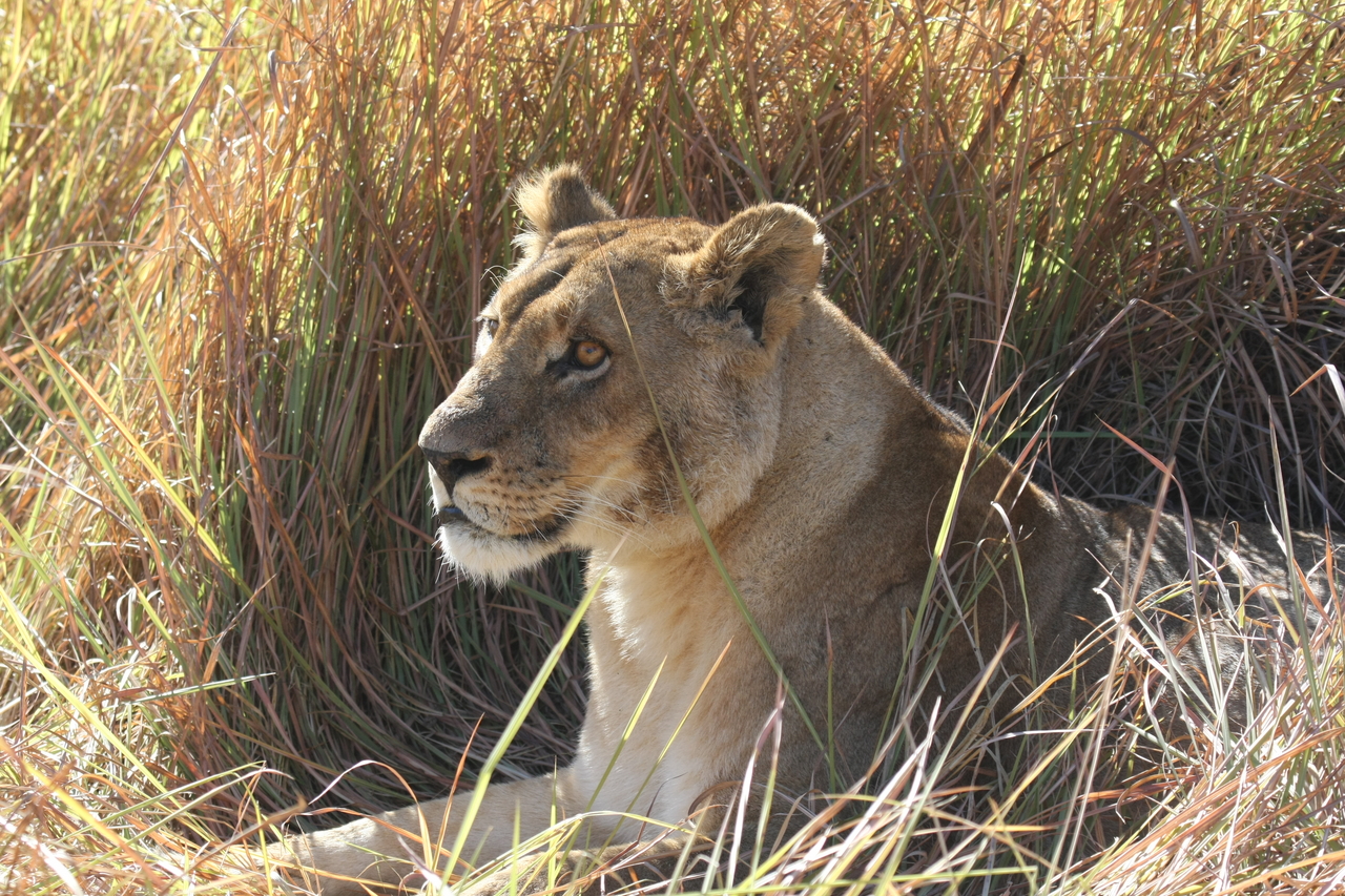 [18744] 2016_06_28_04_17_40_Africa_Canon_EOS_40D_IMG__00346.jpg