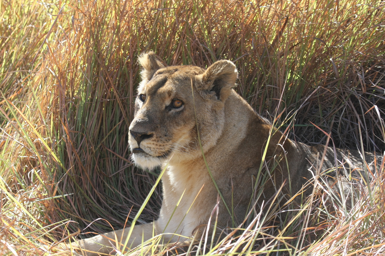 [18751] 2016_06_28_04_17_40_Africa_Canon_EOS_40D_IMG__10182.jpg