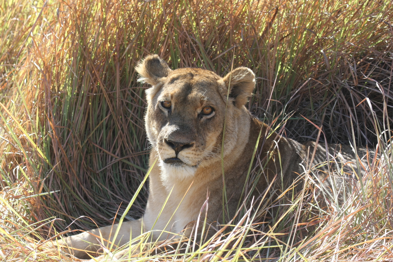[18772] 2016_06_28_04_17_43_Africa_Canon_EOS_40D_IMG__02743.jpg