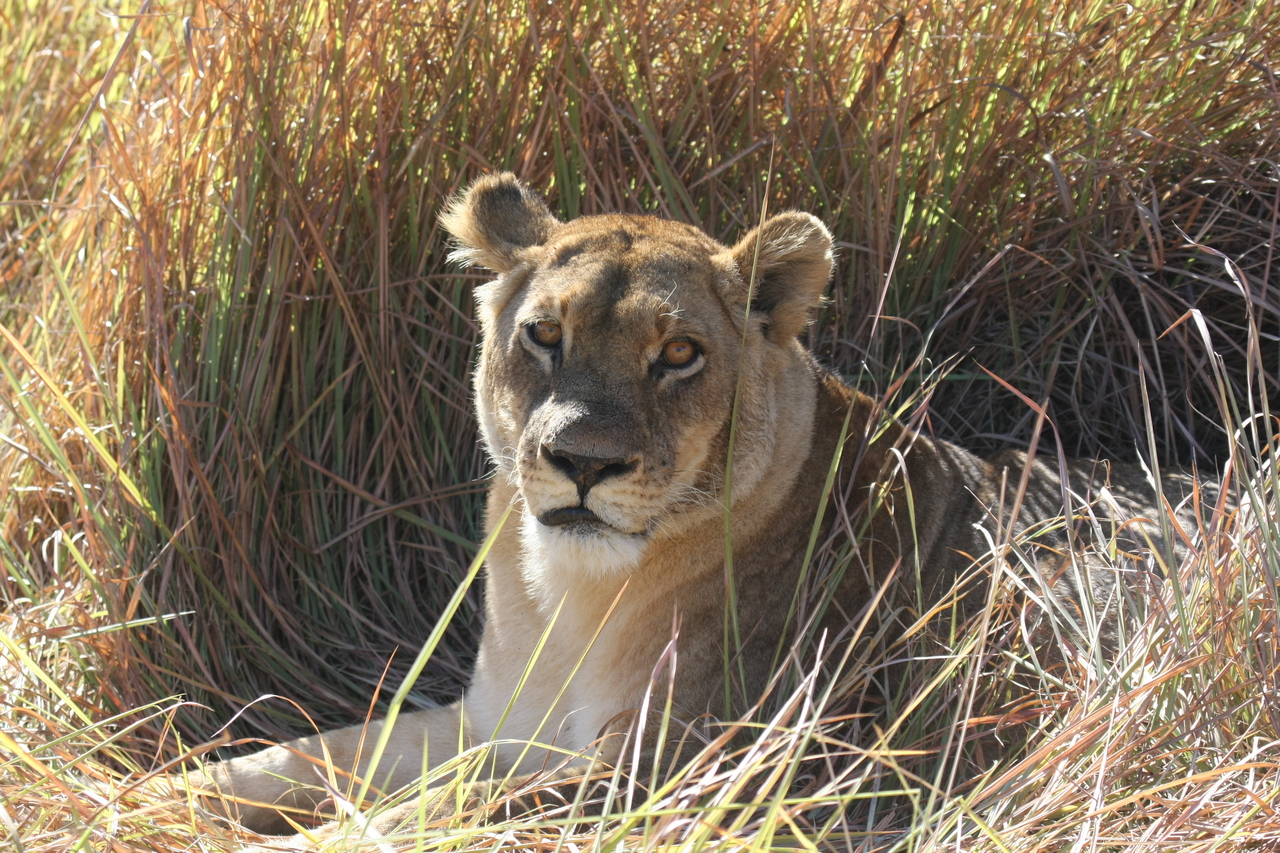 [18773] 2016_06_28_04_17_43_Africa_Canon_EOS_40D_IMG__02744.jpg