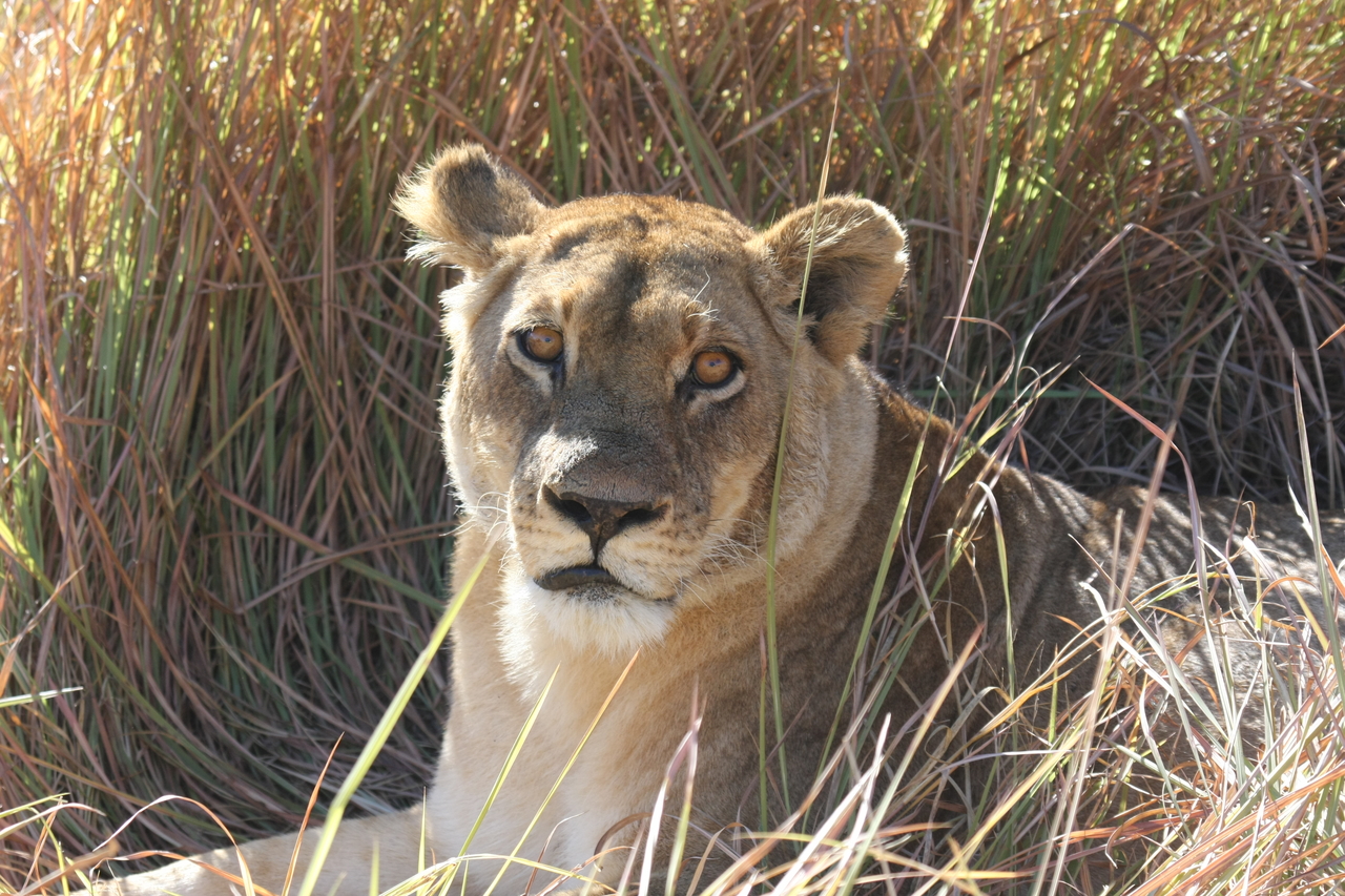 [18788] 2016_06_28_04_17_46_Africa_Canon_EOS_40D_IMG__02750.jpg