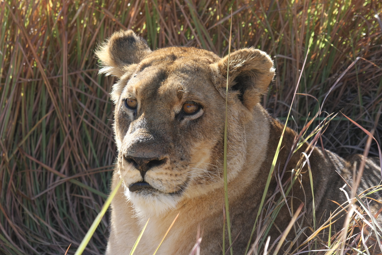 [18800] 2016_06_28_04_17_50_Africa_Canon_EOS_40D_IMG__02753.jpg