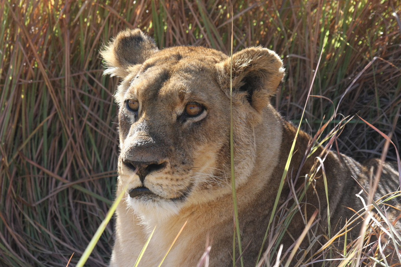 [18801] 2016_06_28_04_17_50_Africa_Canon_EOS_40D_IMG__02754.jpg