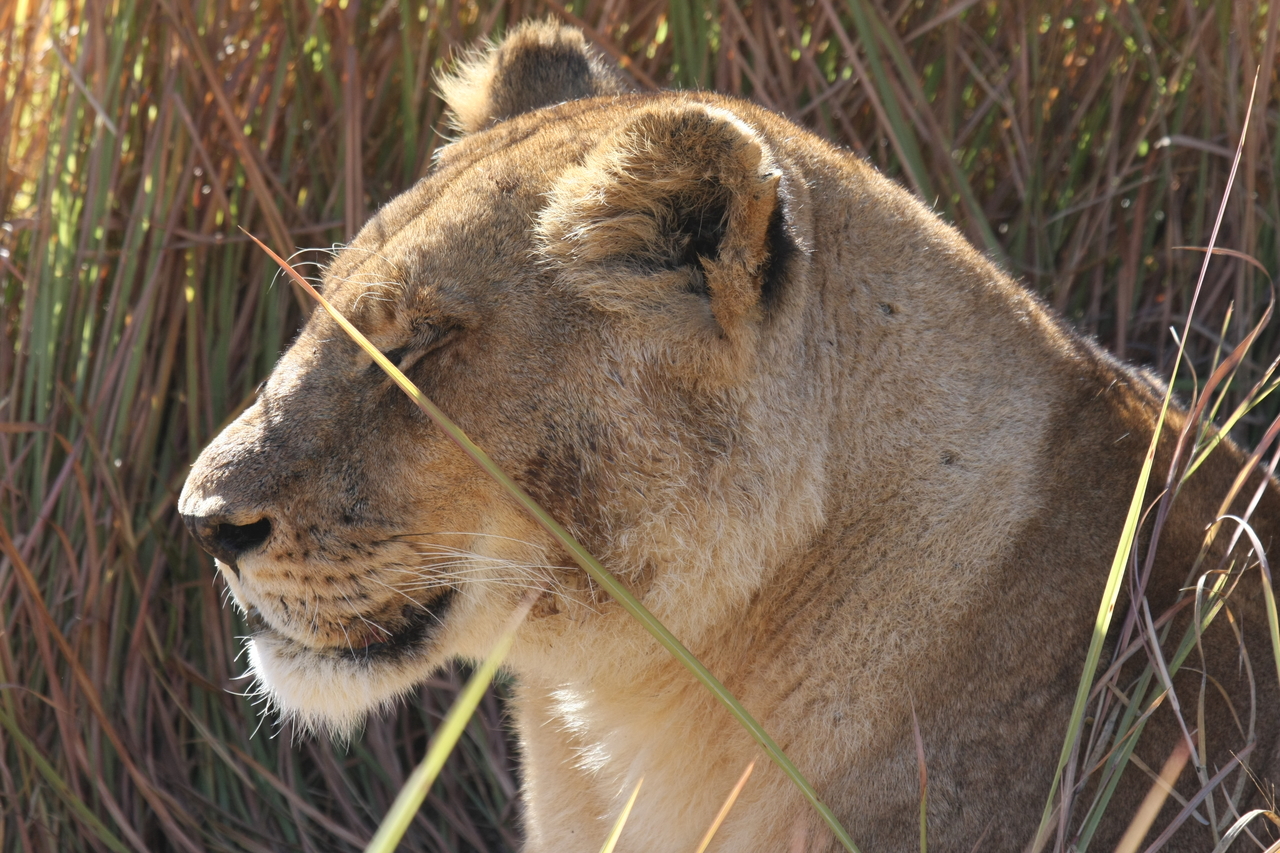 [18810] 2016_06_28_04_18_03_Africa_Canon_EOS_40D_IMG__10202.jpg