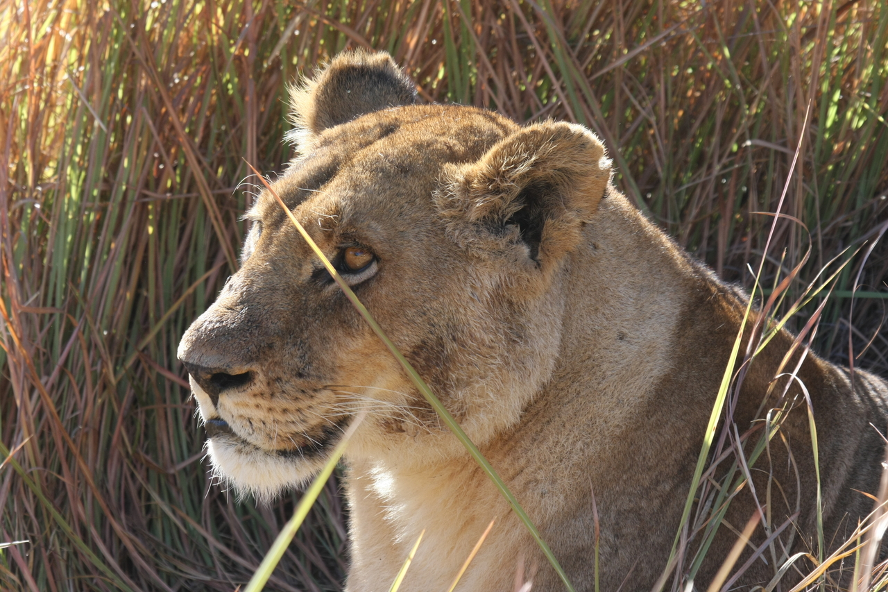 [18822] 2016_06_28_04_18_07_Africa_Canon_EOS_40D_IMG__02761.jpg