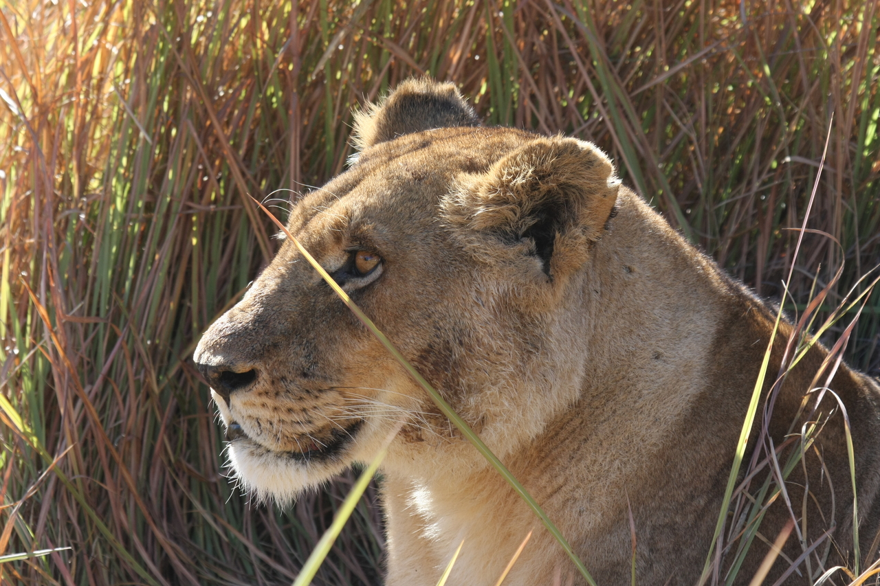 [18826] 2016_06_28_04_18_12_Africa_Canon_EOS_40D_IMG__00375.jpg