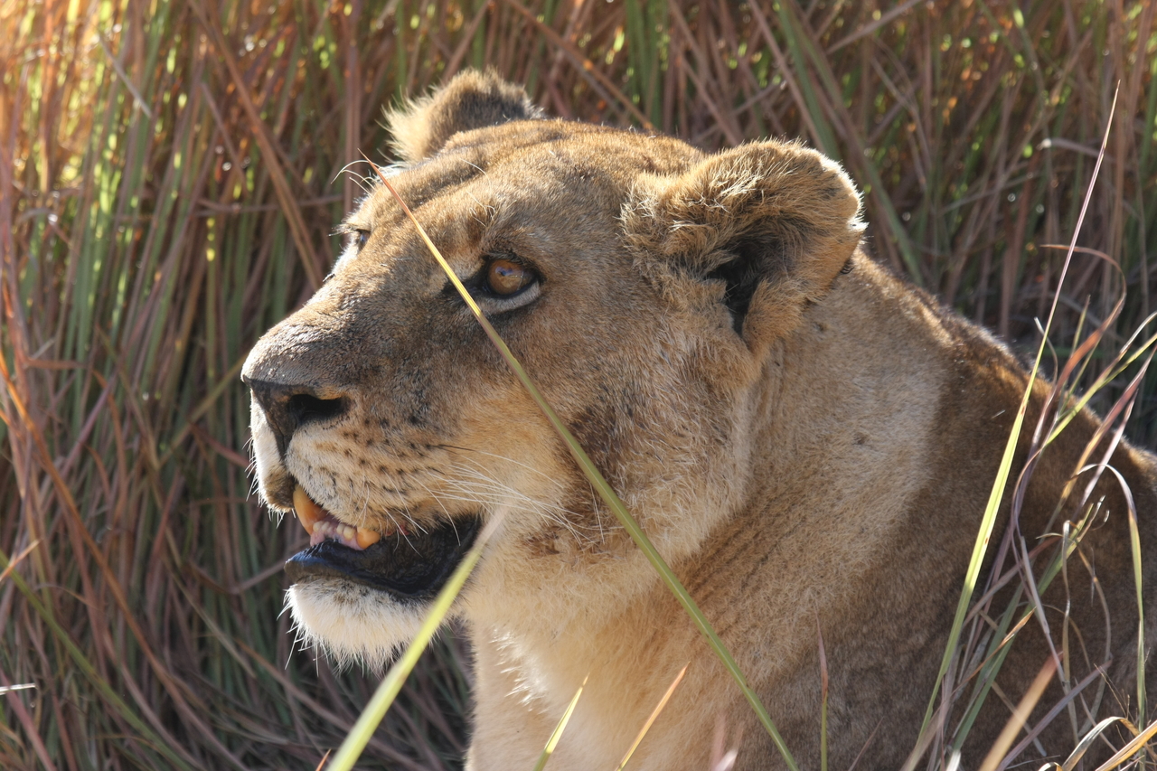 [18841] 2016_06_28_04_18_17_Africa_Canon_EOS_40D_IMG__00381.jpg