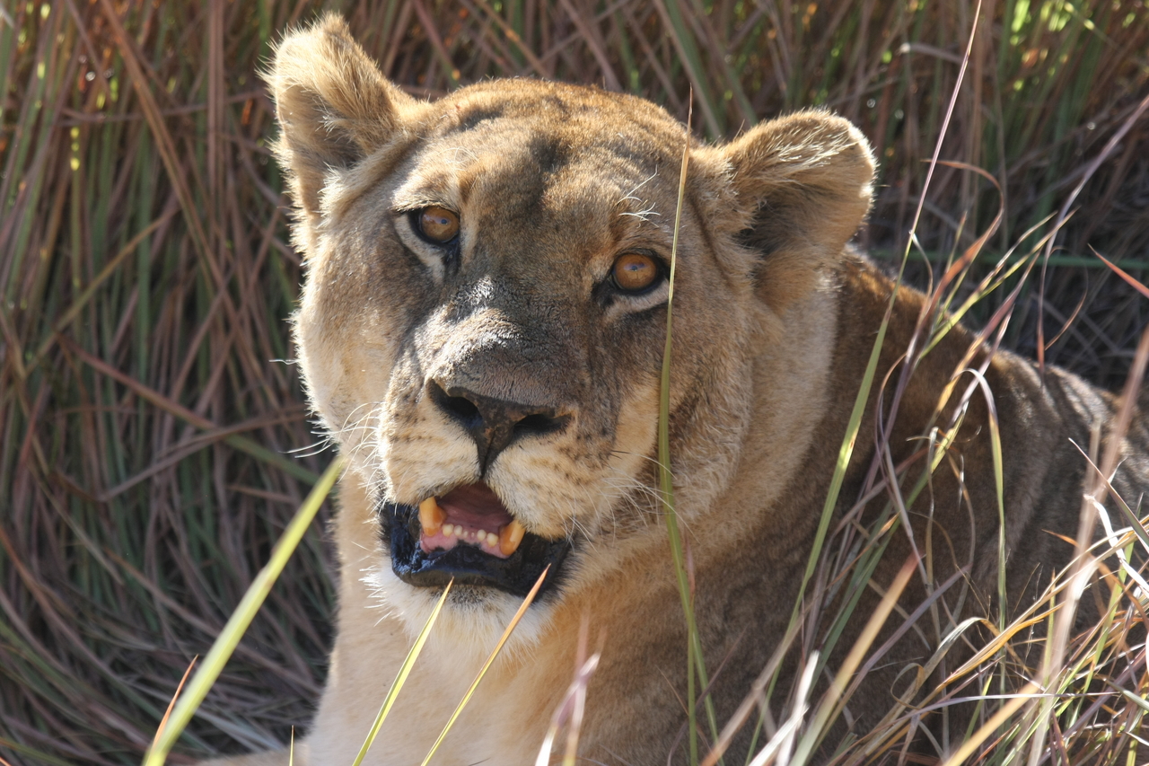 [18870] 2016_06_28_04_18_27_Africa_Canon_EOS_40D_IMG__00393.jpg