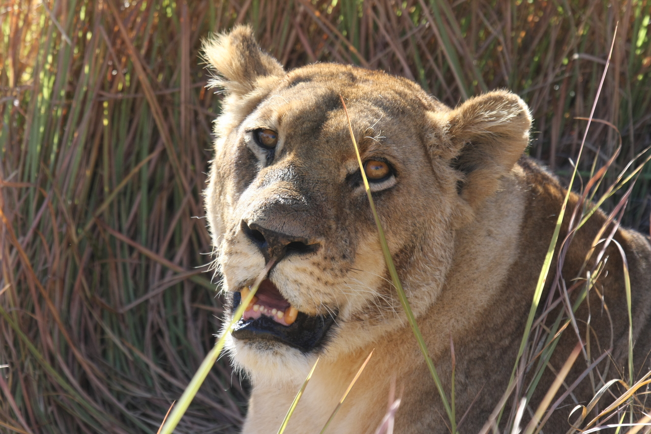 [18874] 2016_06_28_04_18_27_Africa_Canon_EOS_40D_IMG__10224.jpg