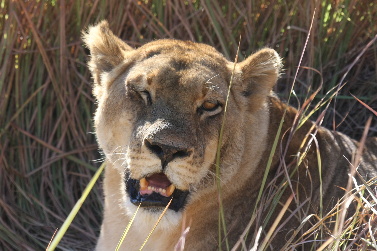 [18886] 2016_06_28_04_18_29_Africa_Canon_EOS_40D_IMG__00397.jpg
