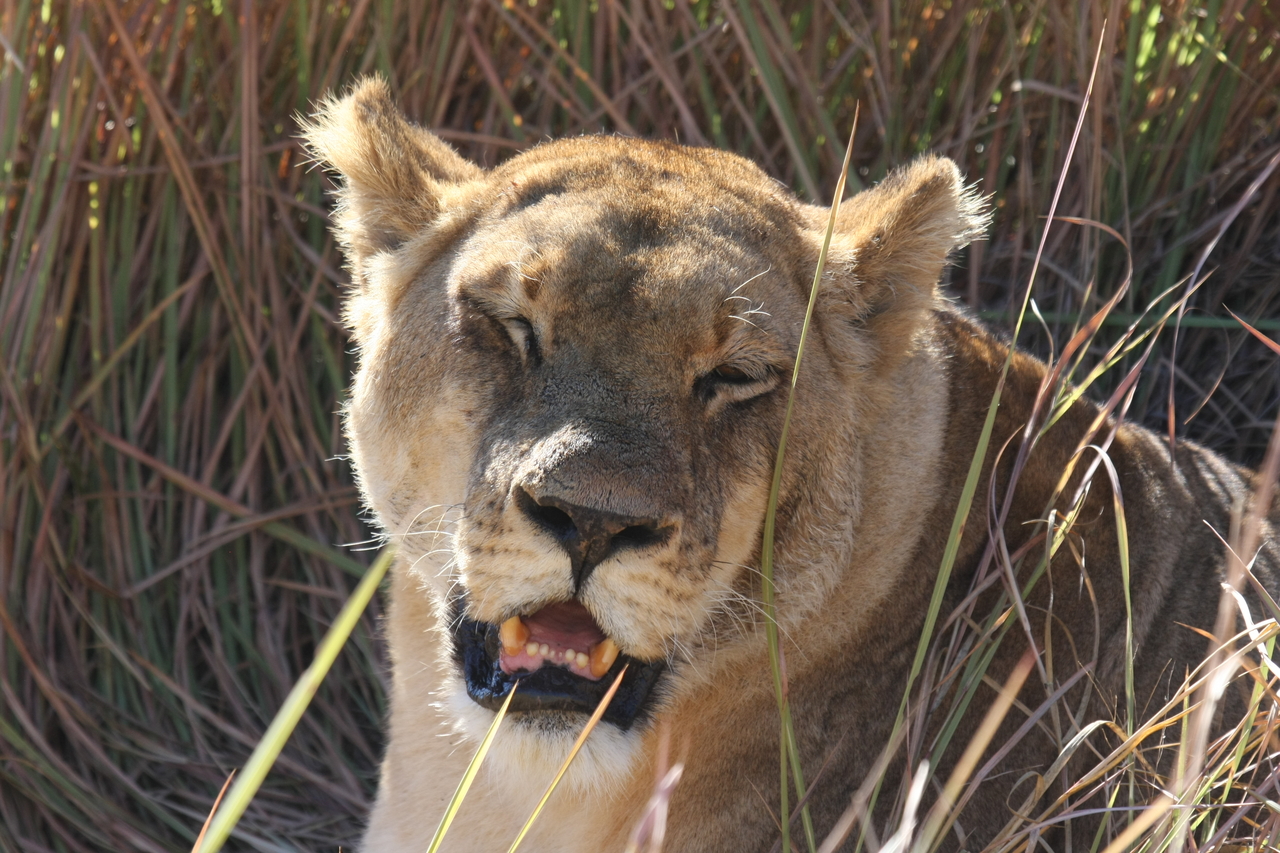 [18898] 2016_06_28_04_18_31_Africa_Canon_EOS_40D_IMG__02787.jpg