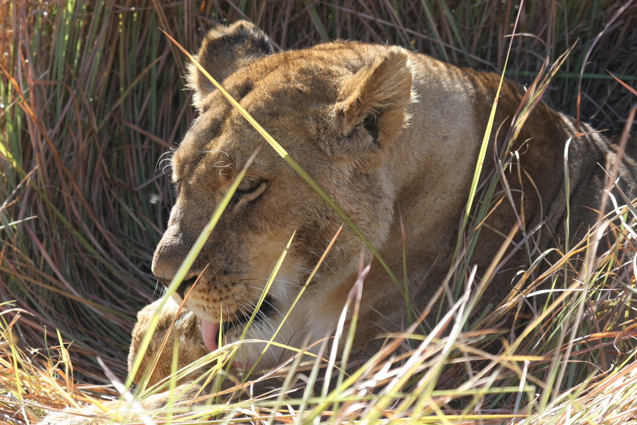 [18913] 2016_06_28_04_18_39_Africa_Canon_EOS_40D_IMG__02793.jpg