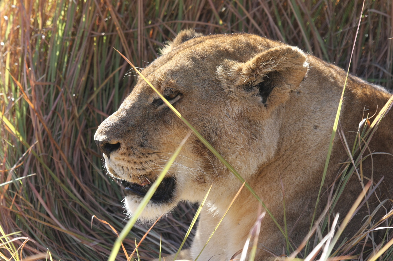 [18952] 2016_06_28_04_18_55_Africa_Canon_EOS_40D_IMG__00421.jpg