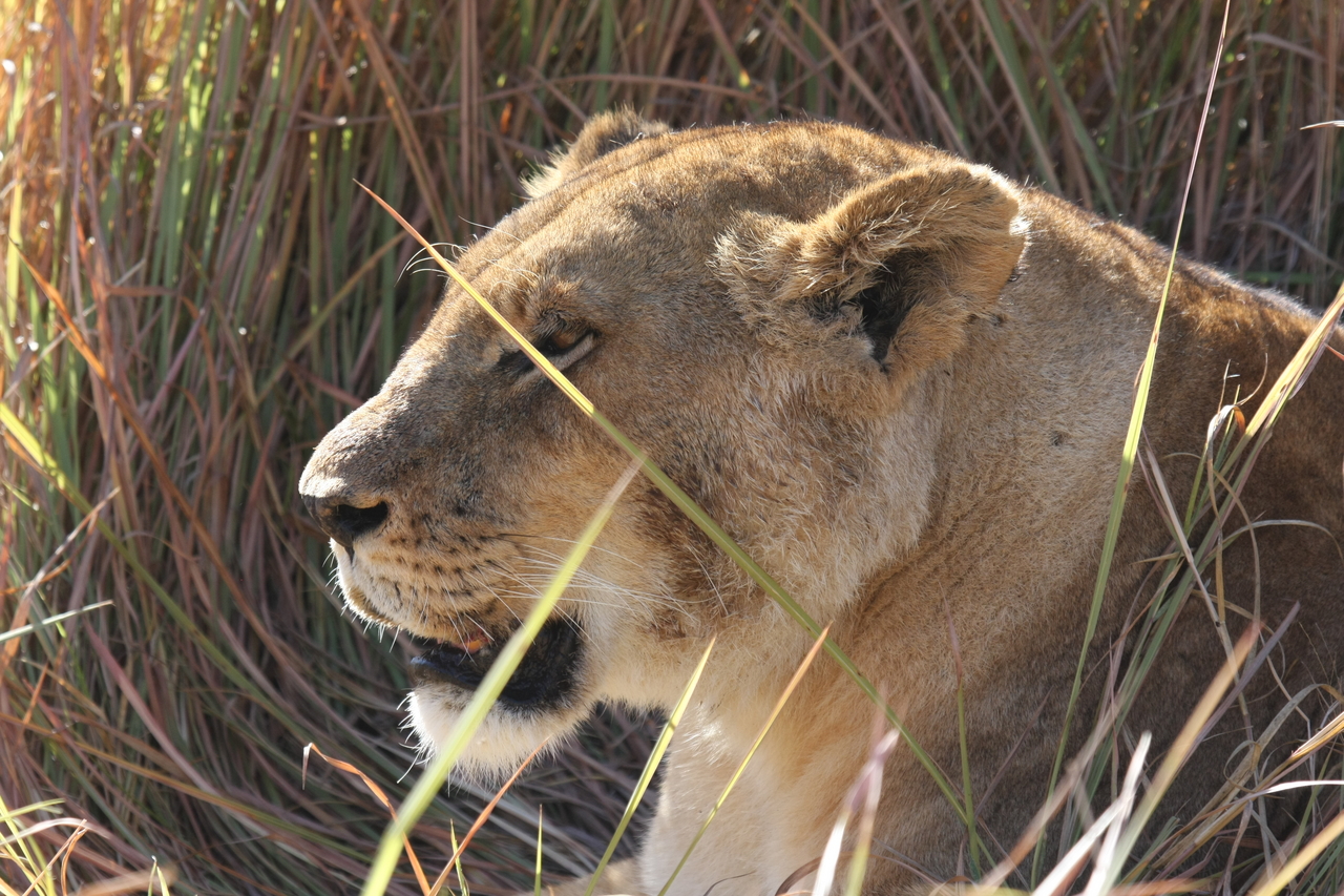 [18953] 2016_06_28_04_18_55_Africa_Canon_EOS_40D_IMG__00422.jpg