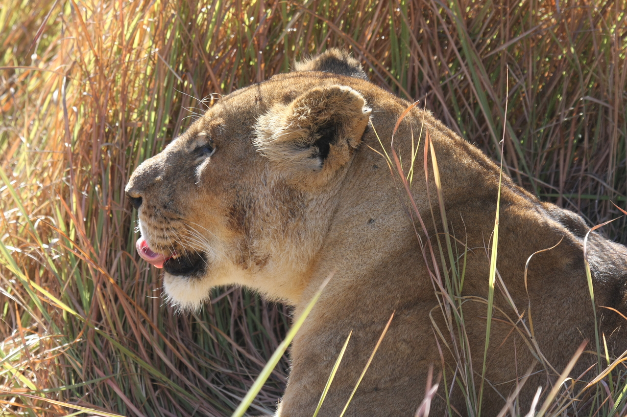 [18967] 2016_06_28_04_19_10_Africa_Canon_EOS_40D_IMG__10259.jpg