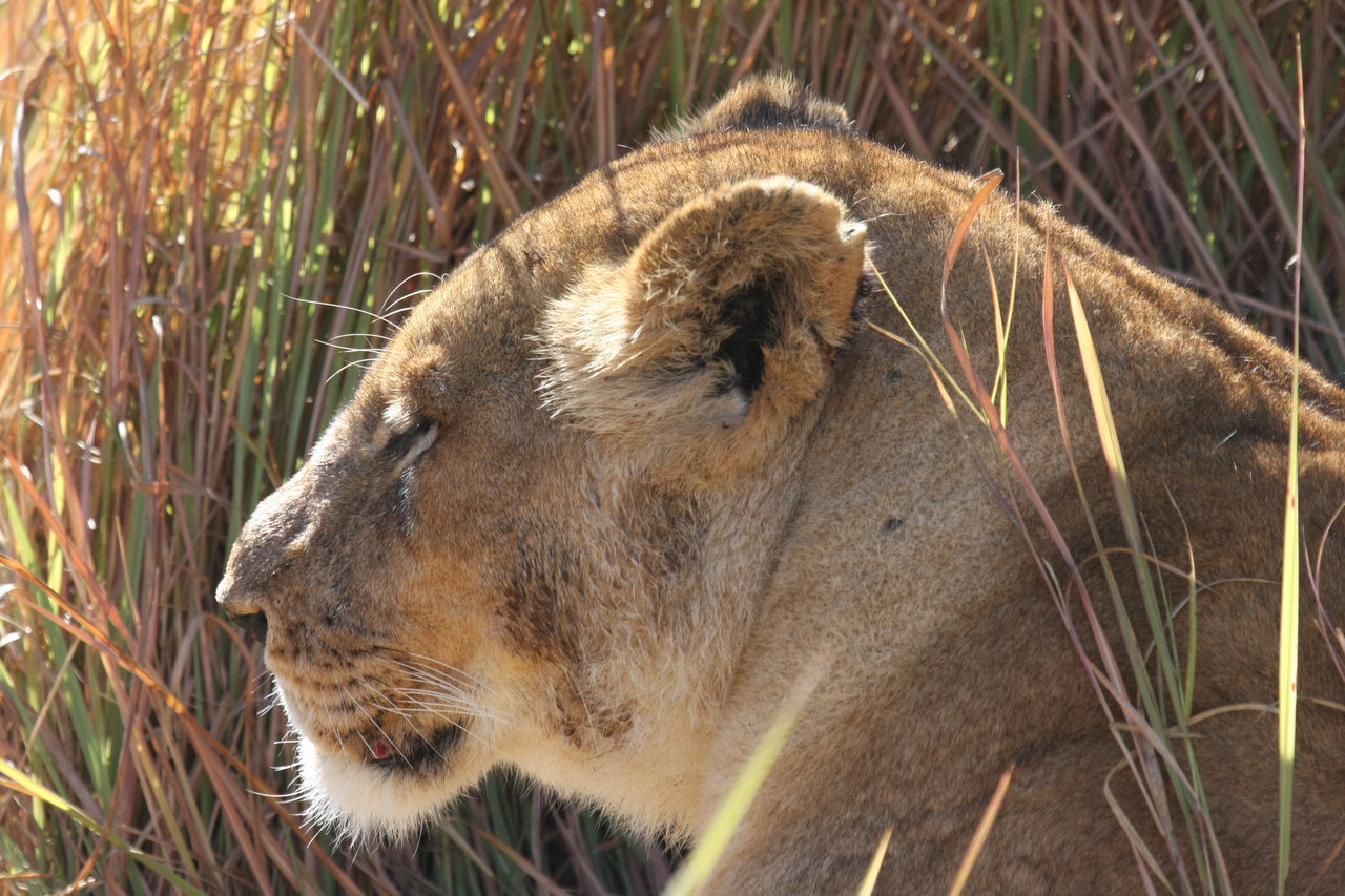 [18976] 2016_06_28_04_19_33_Africa_Canon_EOS_40D_IMG__02817.jpg