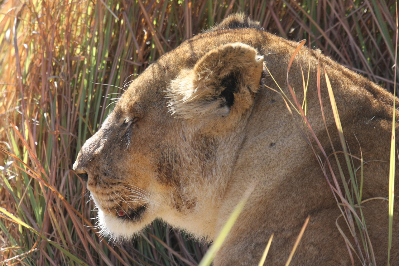 [18981] 2016_06_28_04_19_36_Africa_Canon_EOS_40D_IMG__02818.jpg