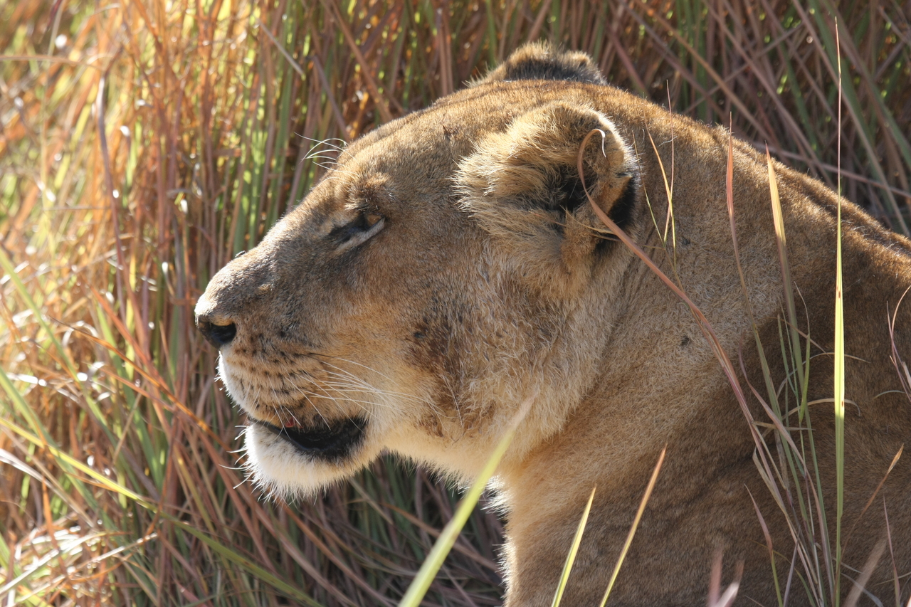[19012] 2016_06_28_04_21_49_Africa_Canon_EOS_40D_IMG__00439.jpg