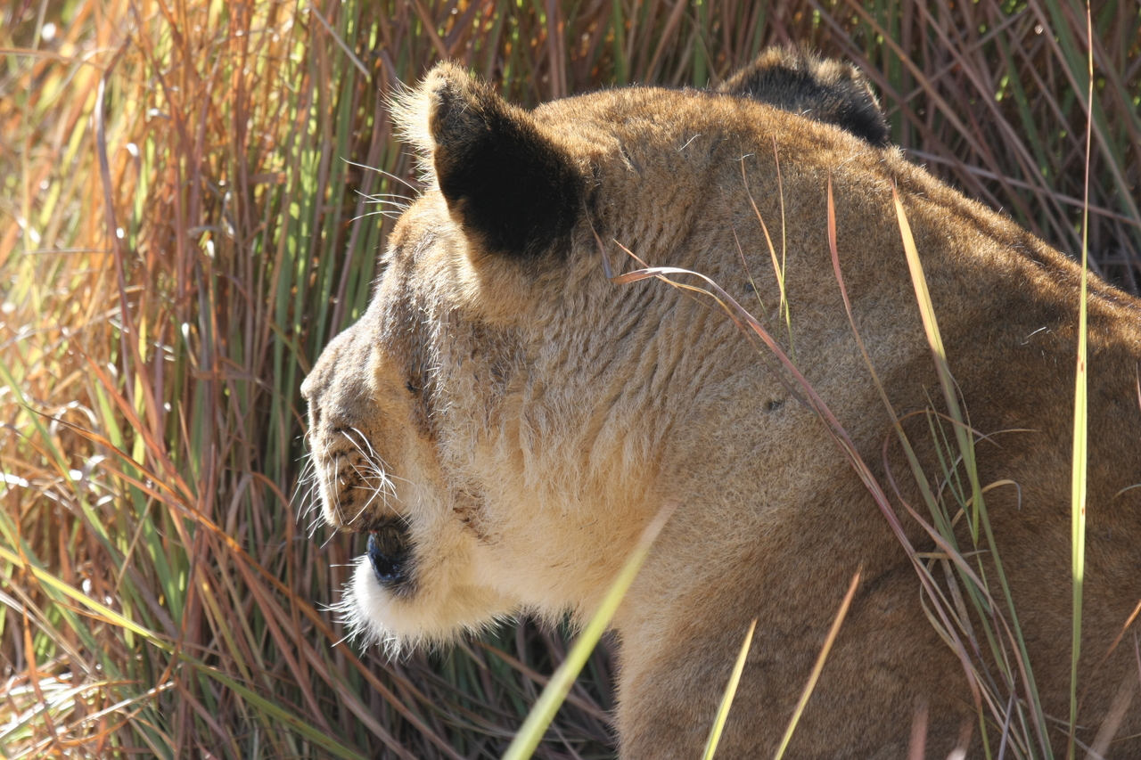 [19021] 2016_06_28_04_22_02_Africa_Canon_EOS_40D_IMG__02829.jpg