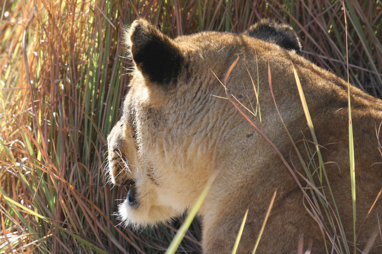 [19046] 2016_06_28_04_22_12_Africa_Canon_EOS_40D_IMG__10277.jpg