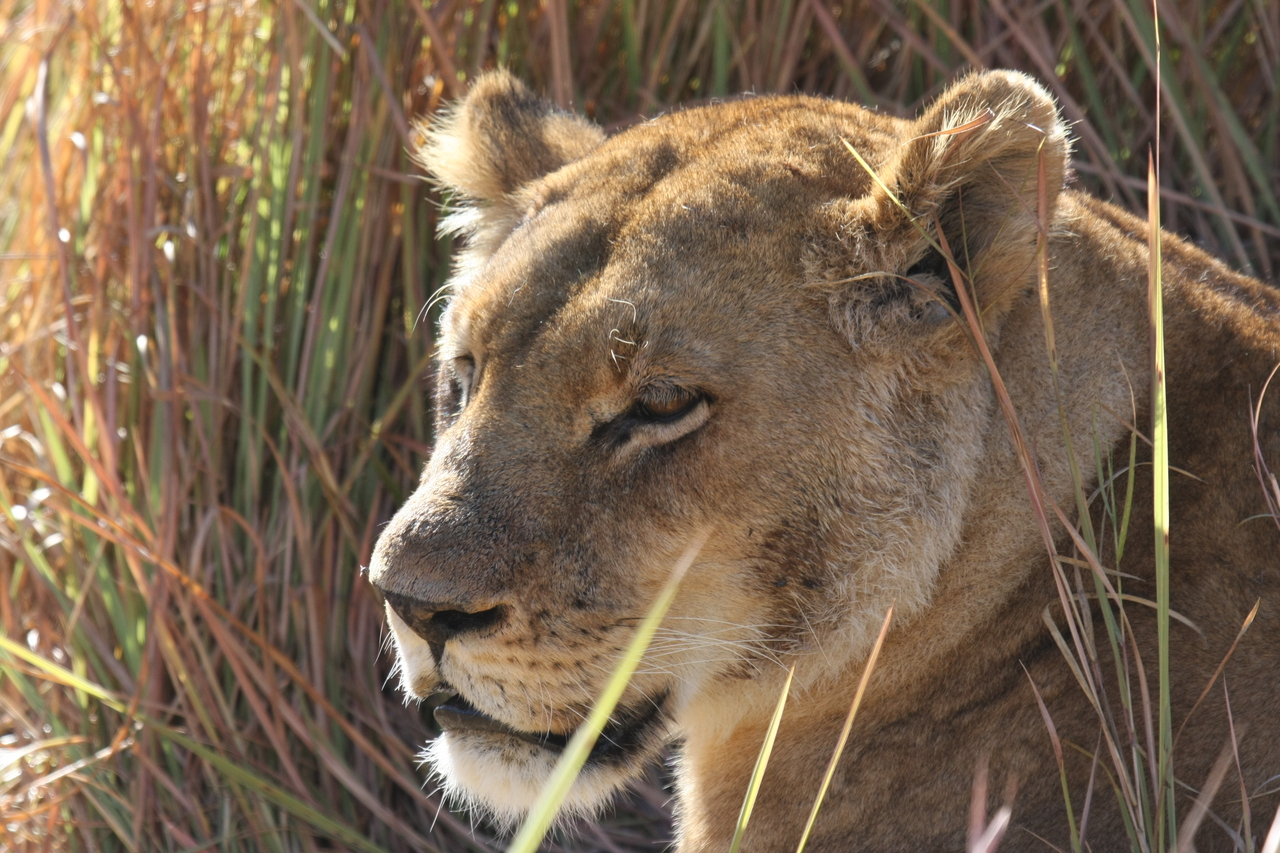 [19061] 2016_06_28_04_23_22_Africa_Canon_EOS_40D_IMG__00452.jpg