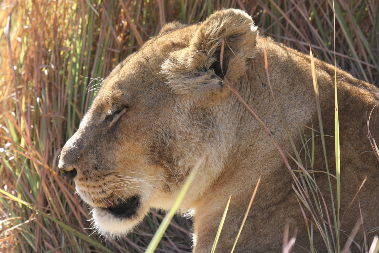 [19067] 2016_06_28_04_23_23_Africa_Canon_EOS_40D_IMG__02841.jpg